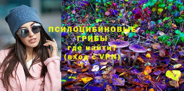 a pvp Аркадак