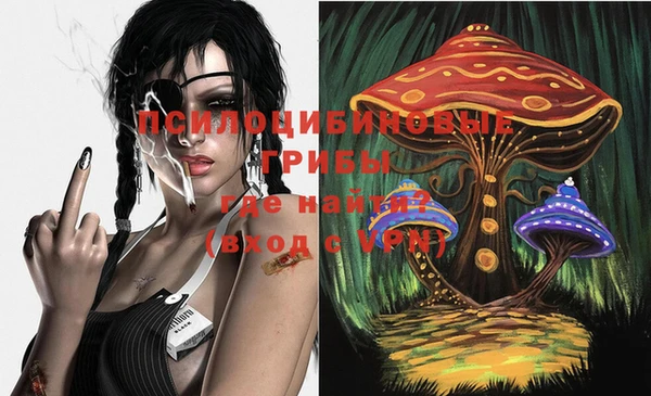 крисы Баксан